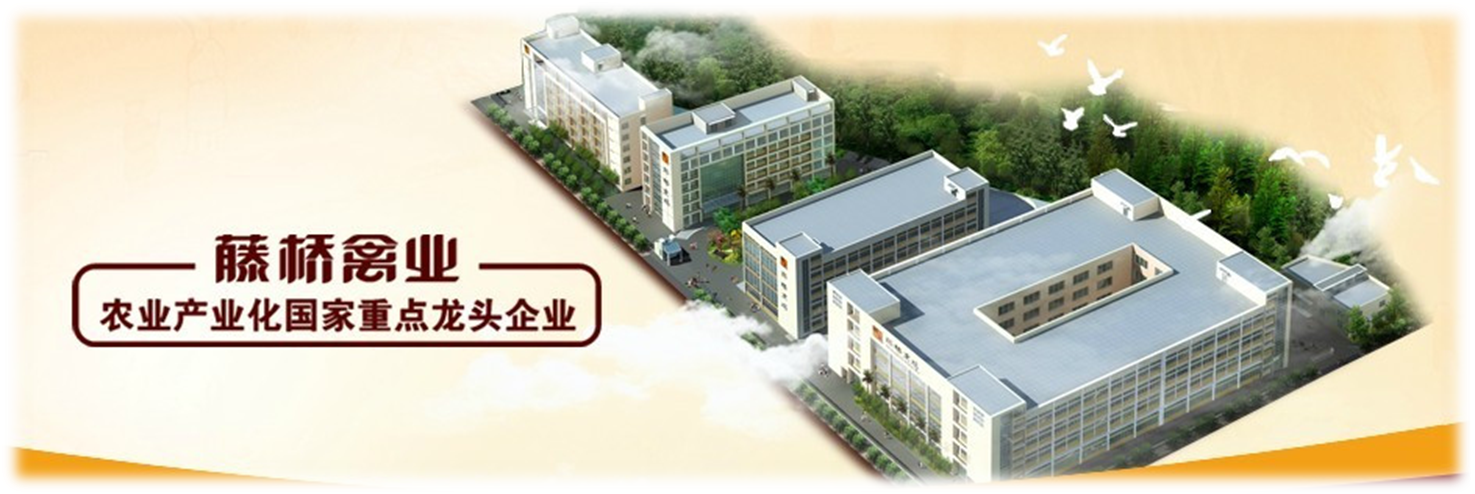 Tengqiao Poultry Industry( China)